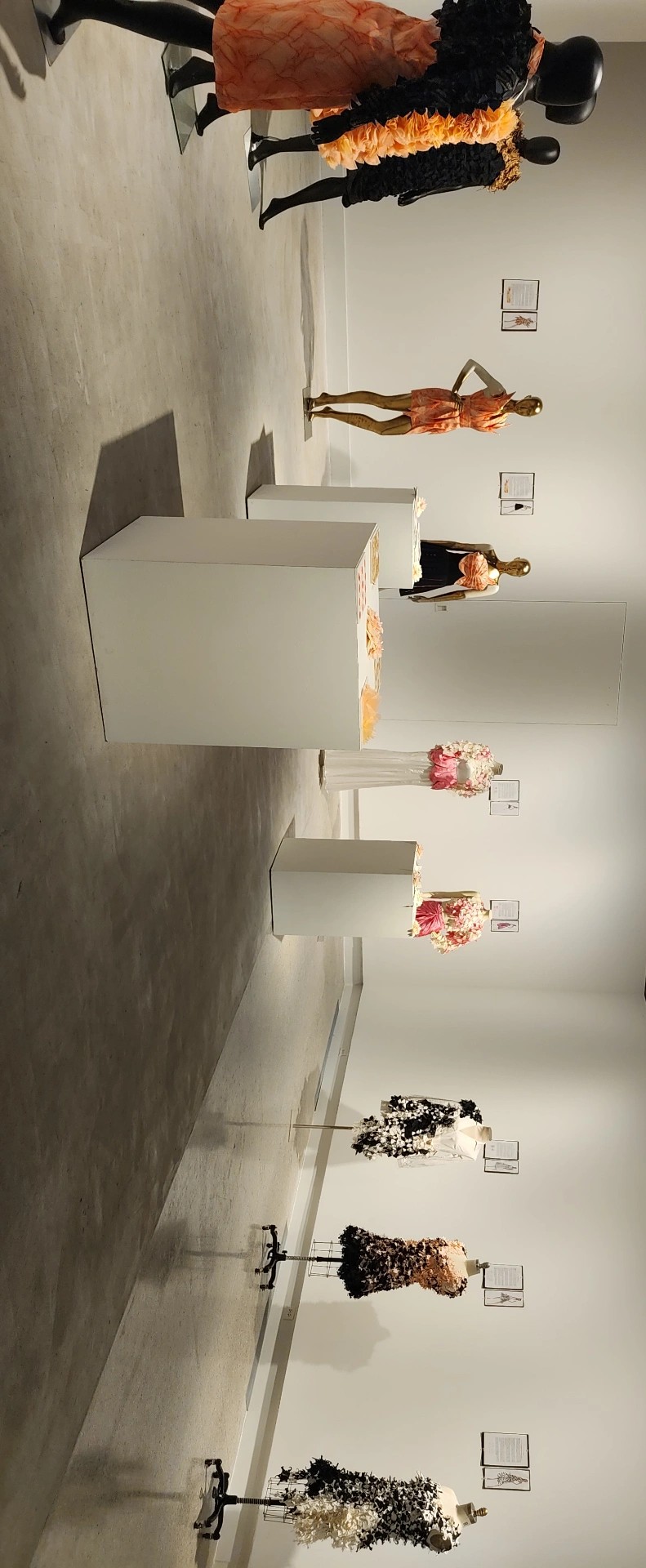 MFA exhibition â€” image 12